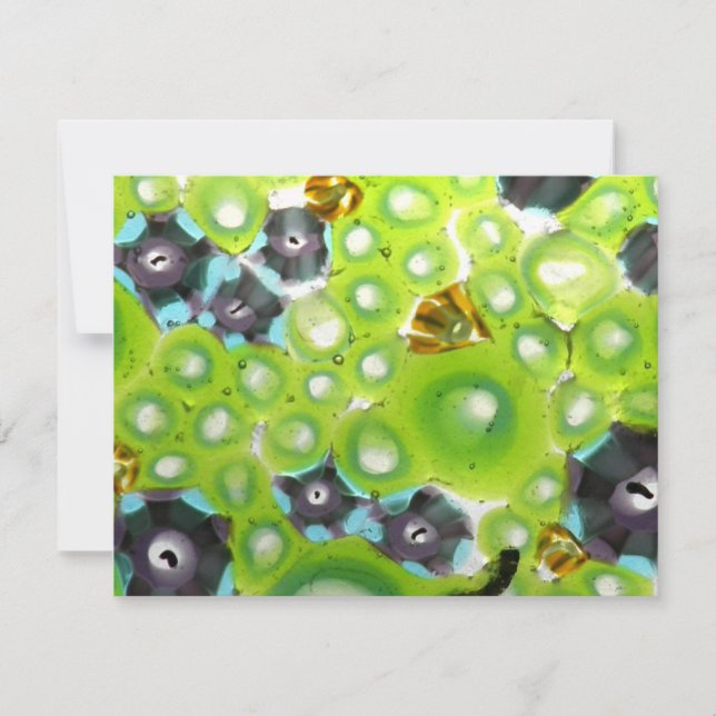 trädgårdsnr 4 (Framsida)