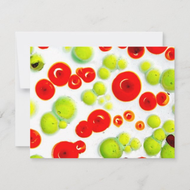 trädgårdsnr 5 (Framsida)