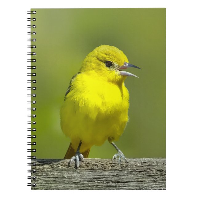 Trädgårdssångare - Originalfotografi Anteckningsbok (Framsidan)