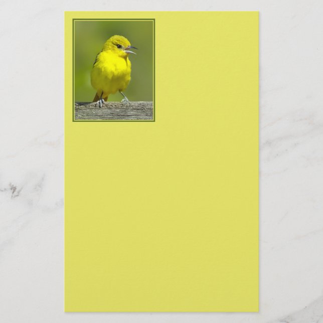 Trädgårdssångare - Originalfotografi Brevpapper (Framsida)