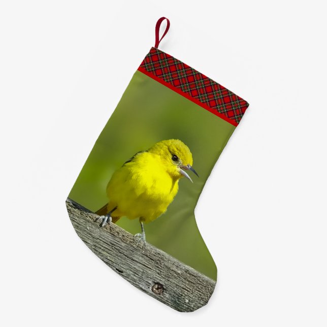 Trädgårdssångare - Originalfotografi Liten Julstrumpa (Framsidan (Hängande))