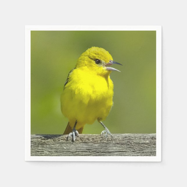 Trädgårdssångare - Originalfotografi Pappersservett (Framsidan)
