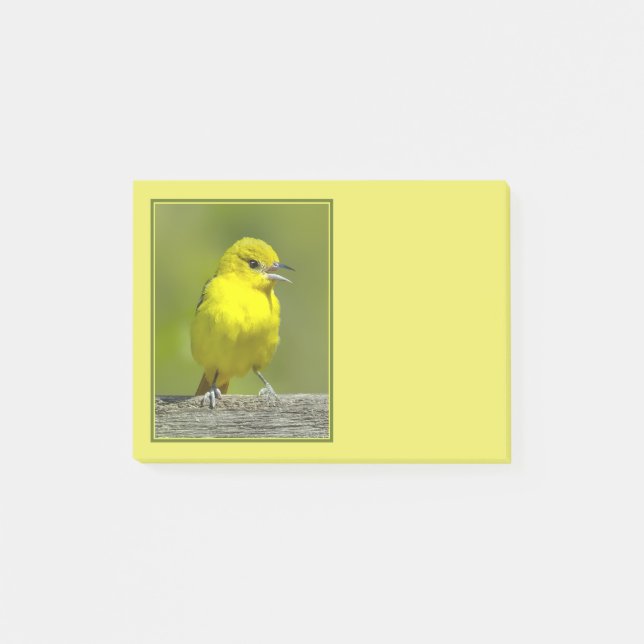 Trädgårdssångare - Originalfotografi Post-it Block (Framsida)