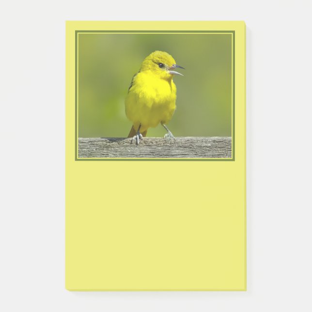 Trädgårdssångare - Originalfotografi Post-it Block (Framsida)