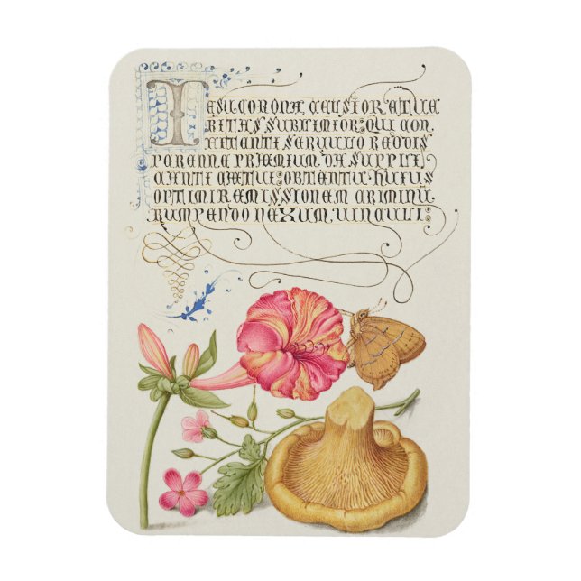 Trädgårdsscen med blommor, fjäril och svamp magnet (Vertikal)