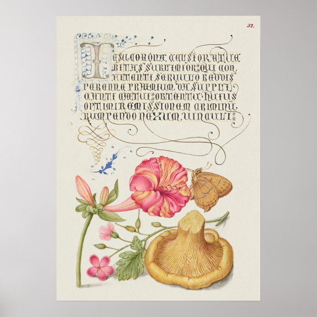 Trädgårdsscen med blommor, fjäril och svamp poster (Framsidan)