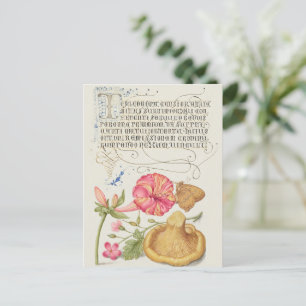 Trädgårdsscen med blommor, fjäril och svamp vykort
