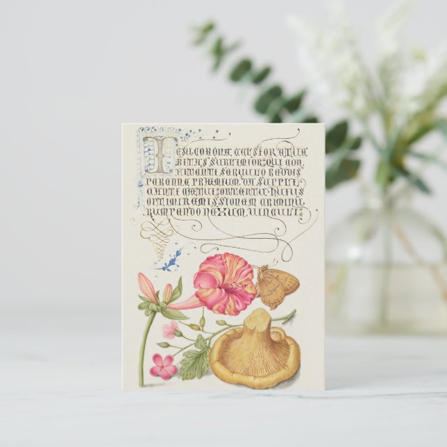 Trädgårdsscen med blommor, fjäril och svamp vykort (Stående Fram)