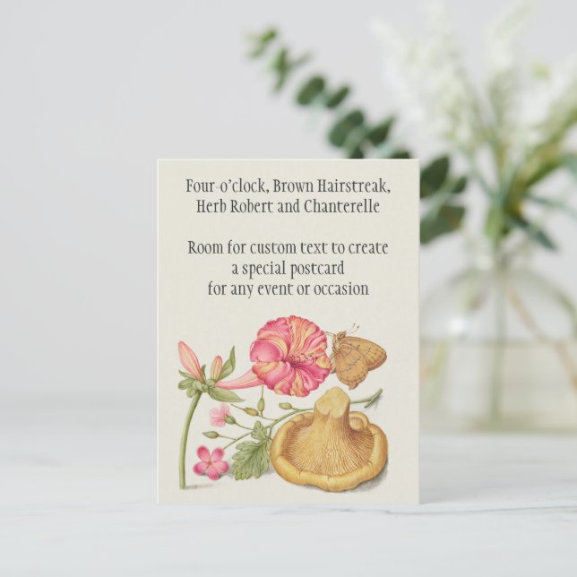 Trädgårdsscen med blommor, fjäril och svamp vykort (Stående Fram)