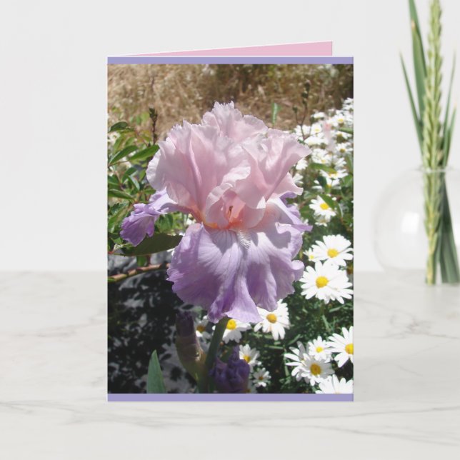 Trädgårdsstuga Lila Iris Irisar blommig Kort (Framsida)