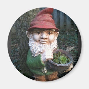 Trädgårdstomtar Magnet