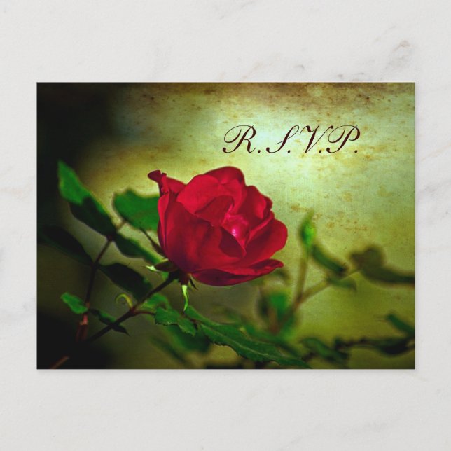 trädgårdstrumpunk bröllop inbjudan vykort (Framsida)