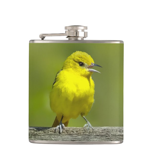 Trädgårdstrupial - Originalfotografi Fickplunta (Framsidan)