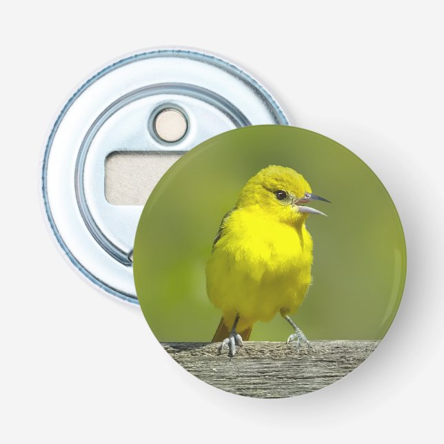Trädgårdstrupial - Originalfotografi Flasköppnare (Framsidan)