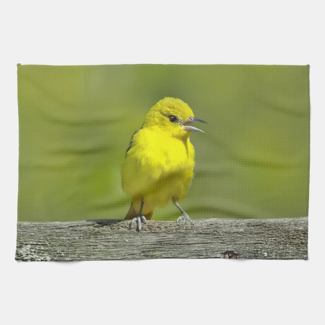 Trädgårdstrupial - Originalfotografi Kökshandduk (Horisontell)