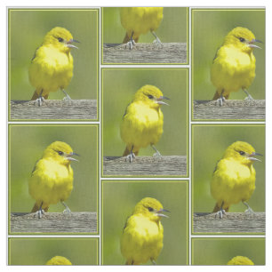 Trädgårdstrupial - Originalfotografi Tyg