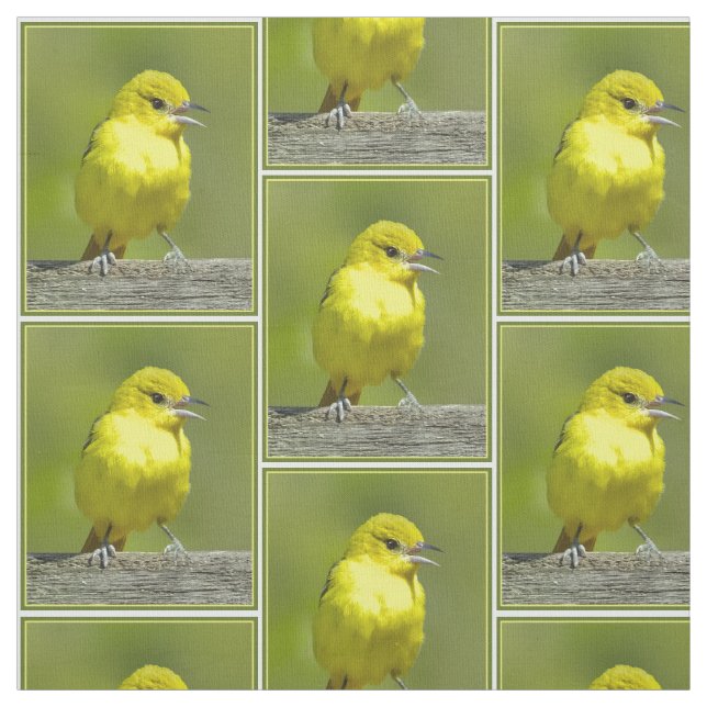 Trädgårdstrupial - Originalfotografi Tyg (Provkarta)