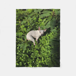 trädgårdsynmph pearl fleecefilt