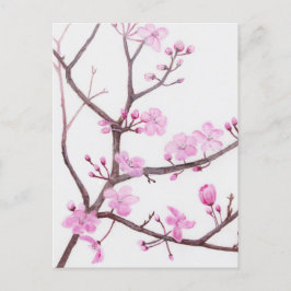 Trädgren blommar med rosa blommor på våren vykort