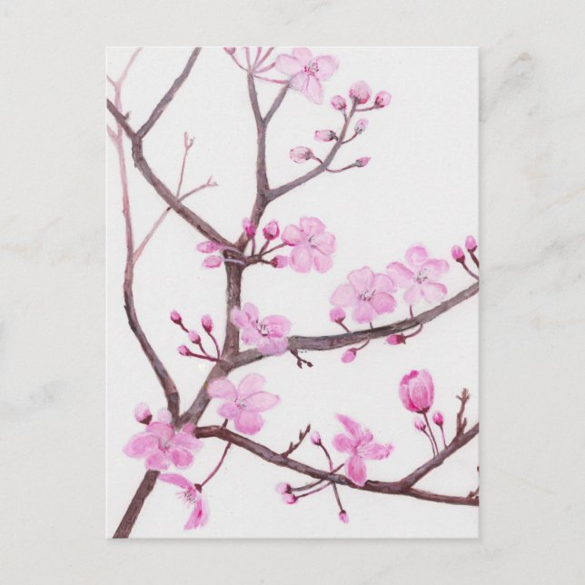 Trädgren blommar med rosa blommor på våren vykort (Framsida)