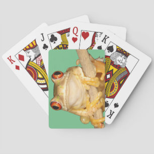Trädgroda Casinokort