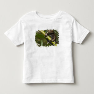 Trädgroda Hyloscirtus 2 T-shirt