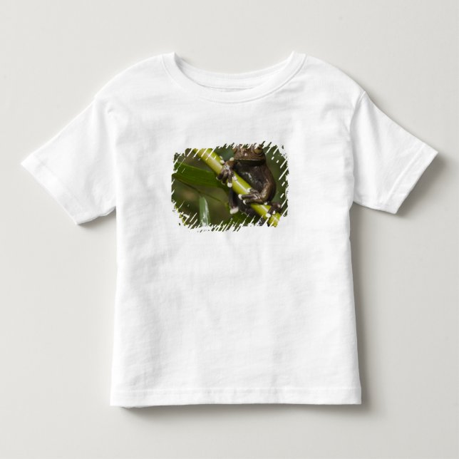 Trädgroda Hyloscirtus 2 T-shirt (Framsida)