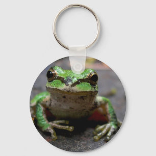Trädgroda Keychain Nyckelring