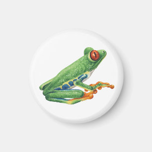 Trädgroda Magnet
