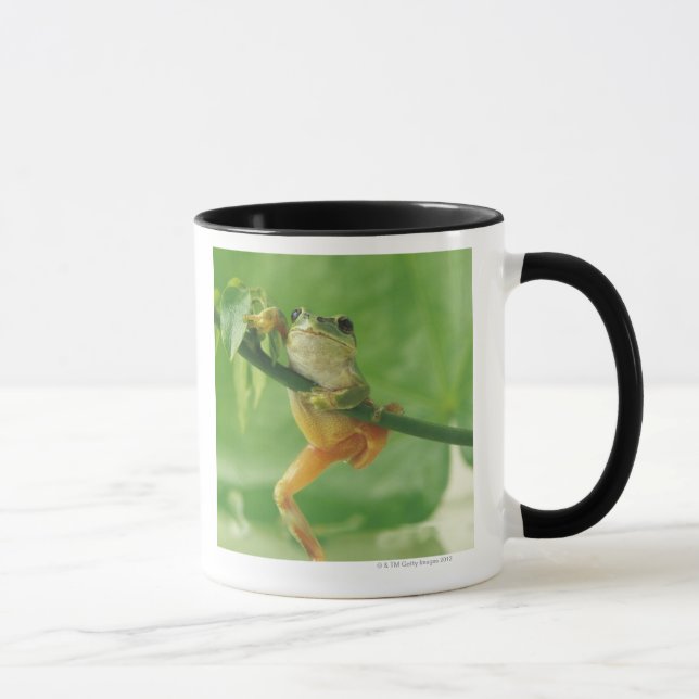 Trädgroda Mugg (Höger)