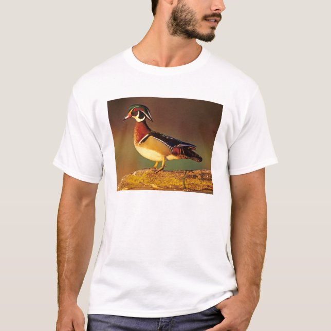 Trädhane, Illinois T-shirt (Framsida)
