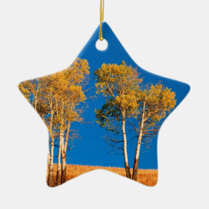 Trädhöst asp- Yellowstone Wyoming Julgransprydnad Keramik