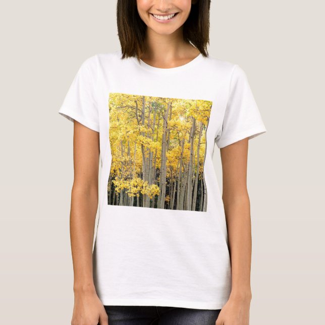 Trädhöstaspen Kenosha passerar Colorado Tee (Framsida)