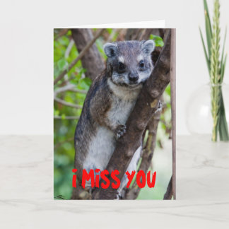 TrädHyrax, I FRÖCKEN DIG Kort