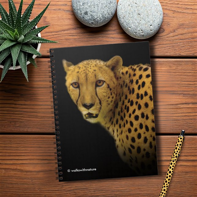 Trading Glances med en magnificent Cheetah Anteckningsbok Med Spiral (Trading Glances with a Magnificent Cheetah Journal Cover Photo)