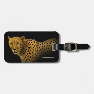 Trading Glances med en magnificent Cheetah Bagagebricka