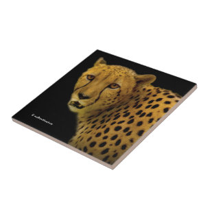Trading Glances med en magnificent Cheetah Kakelplatta
