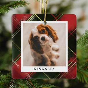 Traditionell Festive Pput Pet Photo jul Julgransprydnad Keramik