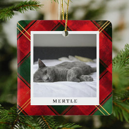 Traditionell Festive Pput Pet Photo jul Julgransprydnad Keramik