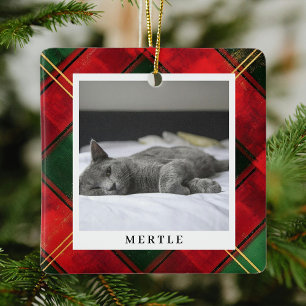 Traditionell Festive Pput Pet Photo jul Julgransprydnad Keramik