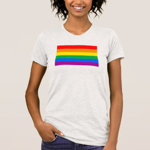 Traditionell HBTQ-stolthetsflagga T Shirt