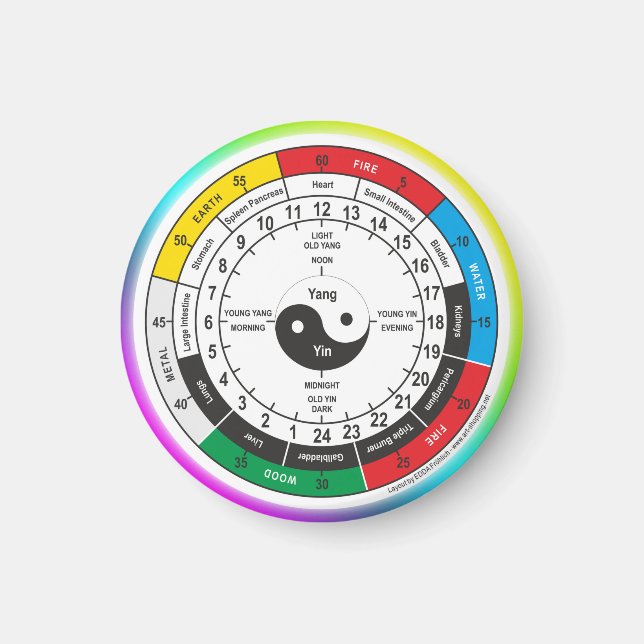 Traditionell kinesisk läkemedelskropp Klock Square Magnet (Framsidan)