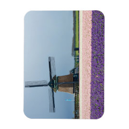 Traditionell kvarn med rosa och lila blommor magnet