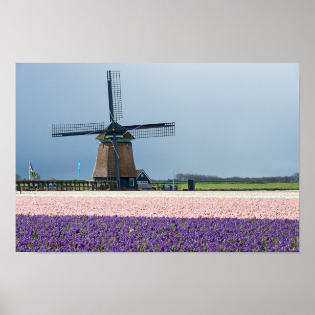 Traditionell kvarn med rosa och lila blommor poster (Framsidan)