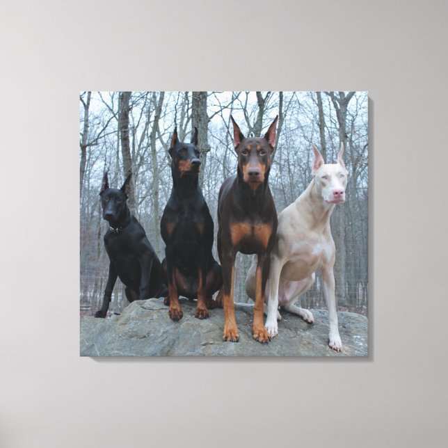 Traditionell och extern Färgad Harmony Canvastryck (Framsida)