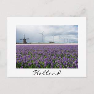 Traditionell och modern kvarn, Holland-vita kort