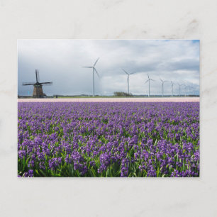 Traditionell och modern kvarn, Holland-vykort Vykort