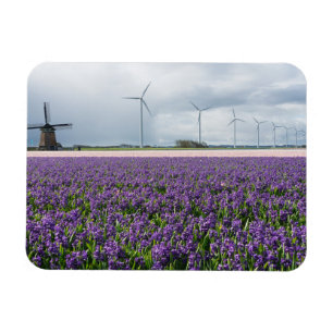 Traditionell och modern kvarn i den Holland Magnet