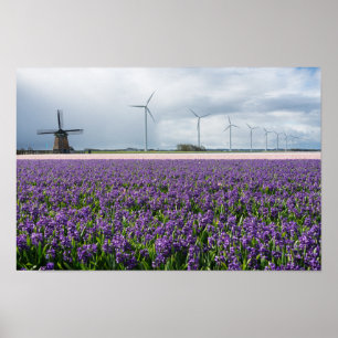 Traditionell och modern kvarn i den Holland Poster