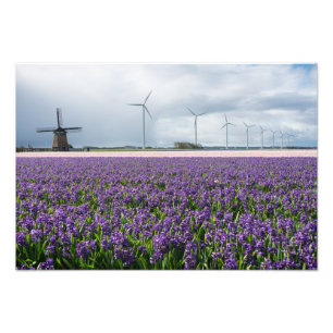 Traditionell och modern kvarn i det Holland Fototryck